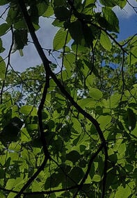 Sustainabilty