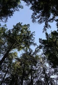 Sustainabilty