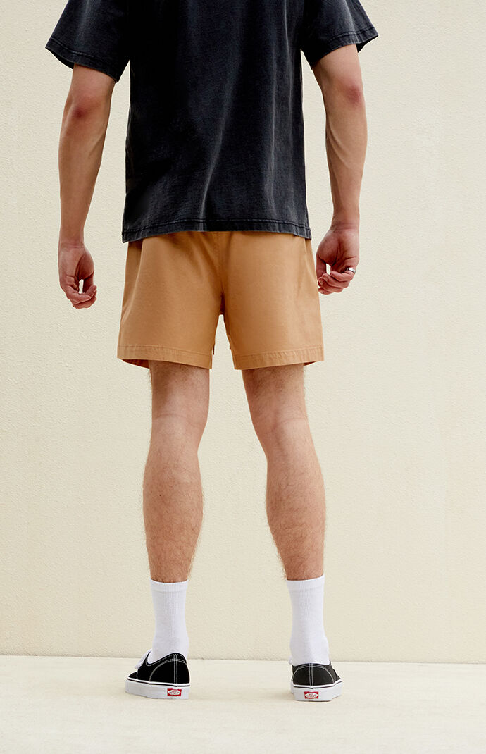Pacsun Trey Volley Shorts | Pacsun
