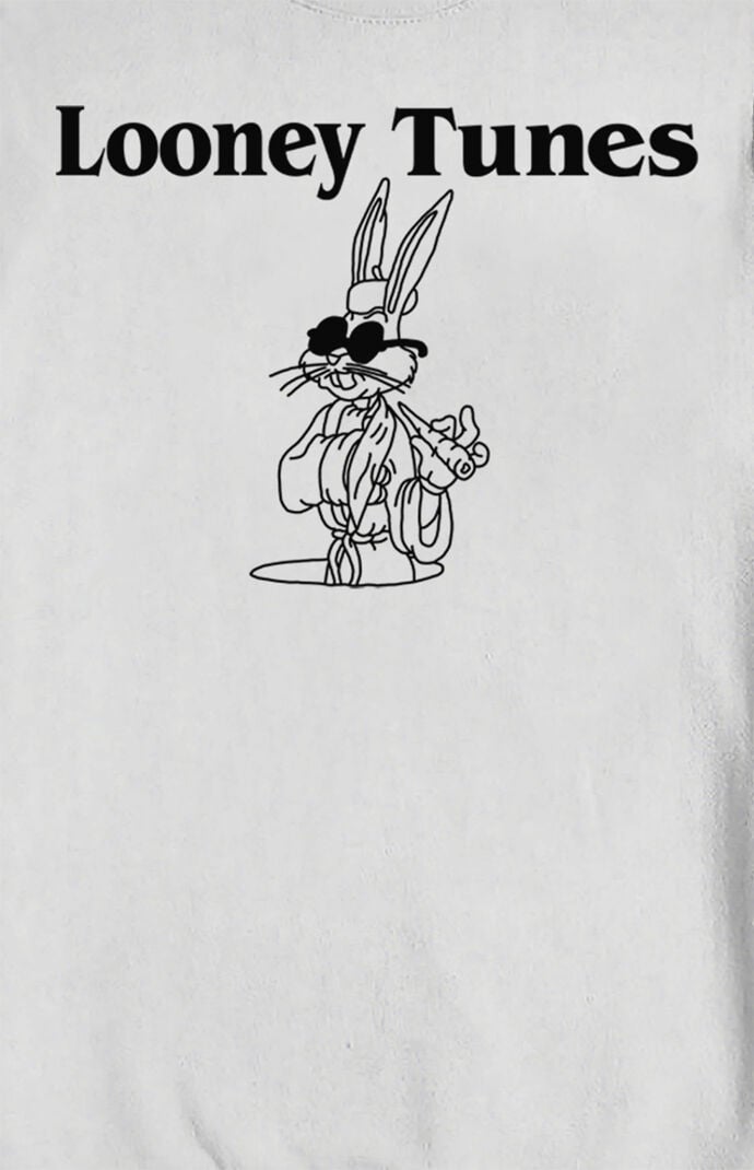 Looney tunes 2025 hoodie pacsun