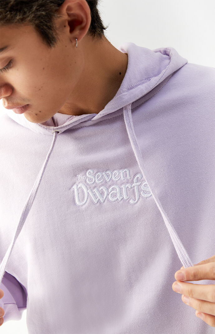 Dwarfs Hoodie