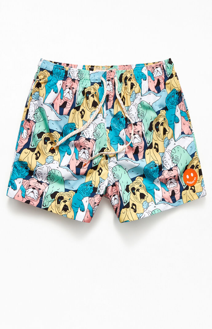Bruiser 14" Swim Trunks