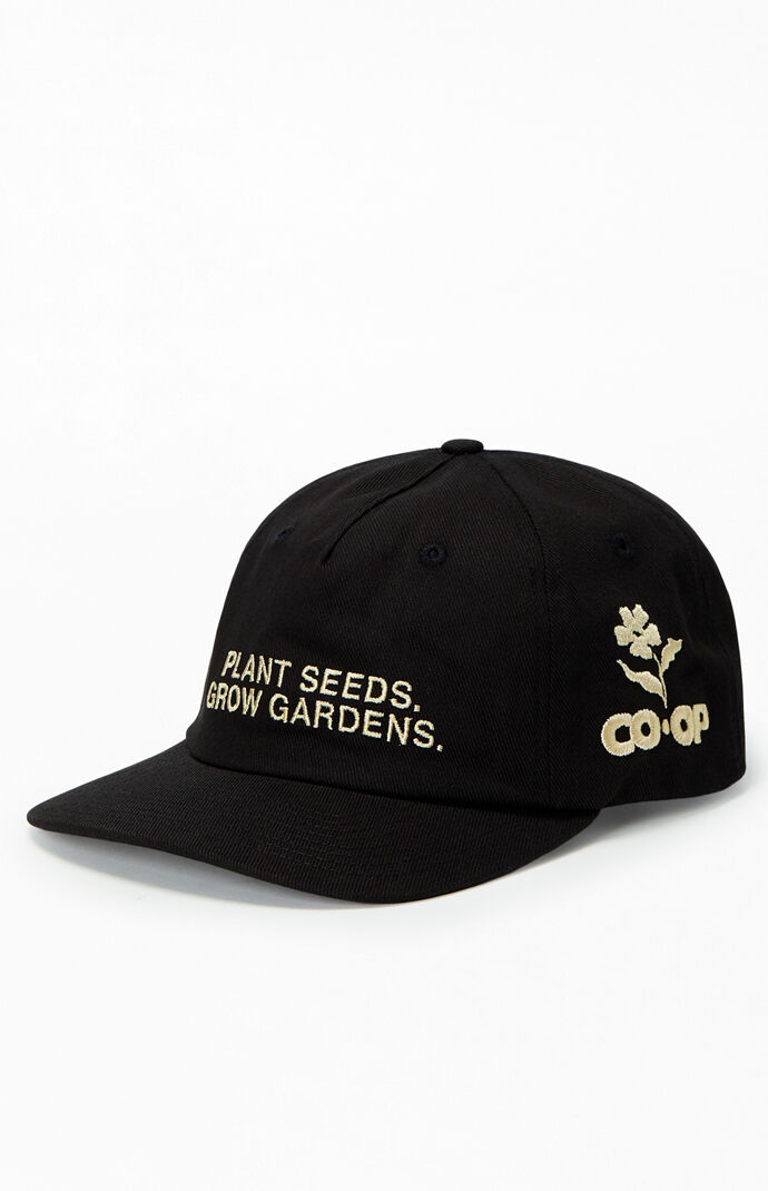 GARDENS & SEEDS The Message Snapback Cap | Pacsun