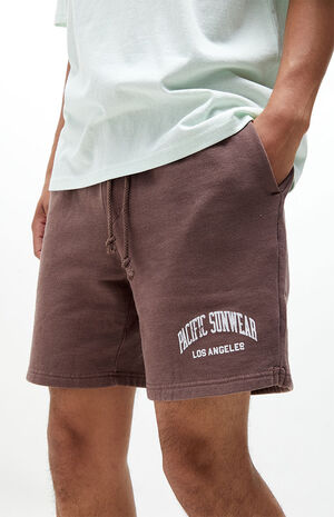 Brown Pacific Sunwear Collegiate Sweat Shorts image number 5