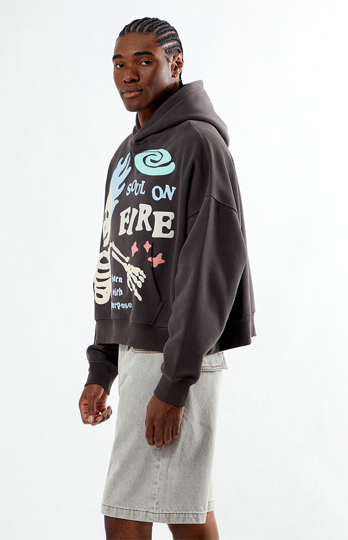Pacsun Soul On Fire Cropped Hoodie | PacSun