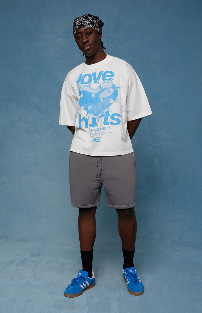 Pacsun Gray Fleece Volley Sweat Shorts