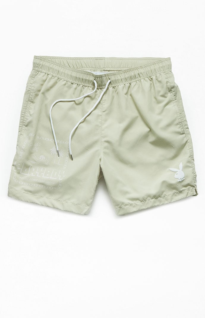 Pacsun mens swimsuits online