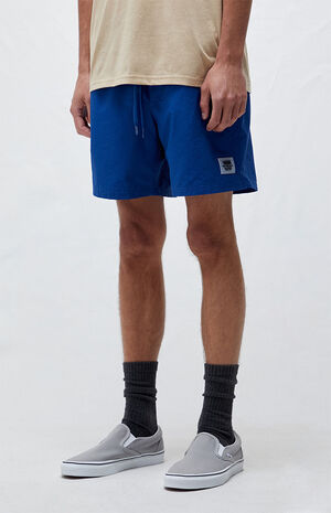 Blue Primary Volley II Shorts image number 2