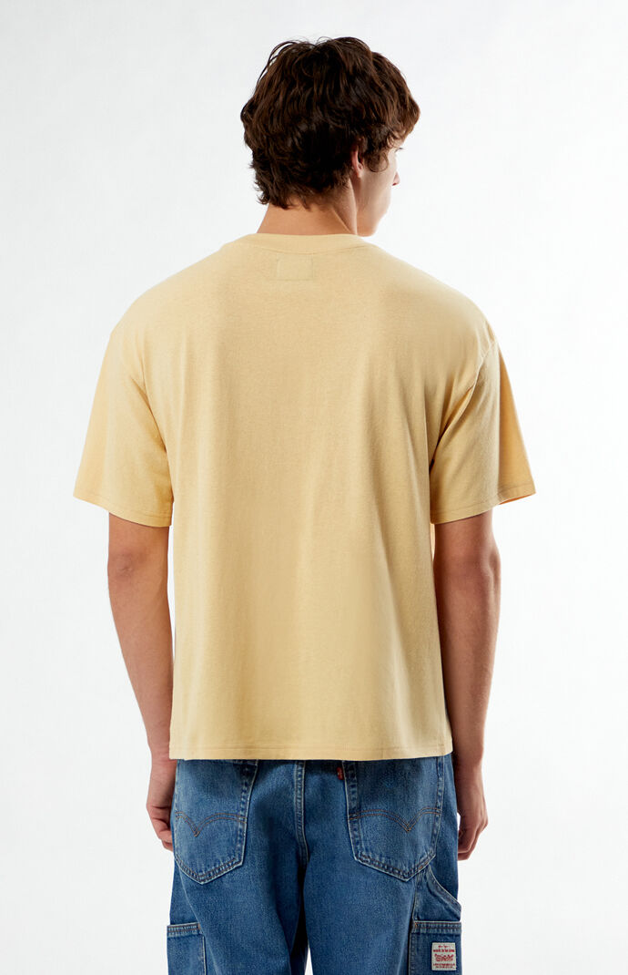 Pacsun Sunset Embroidered T-Shirt