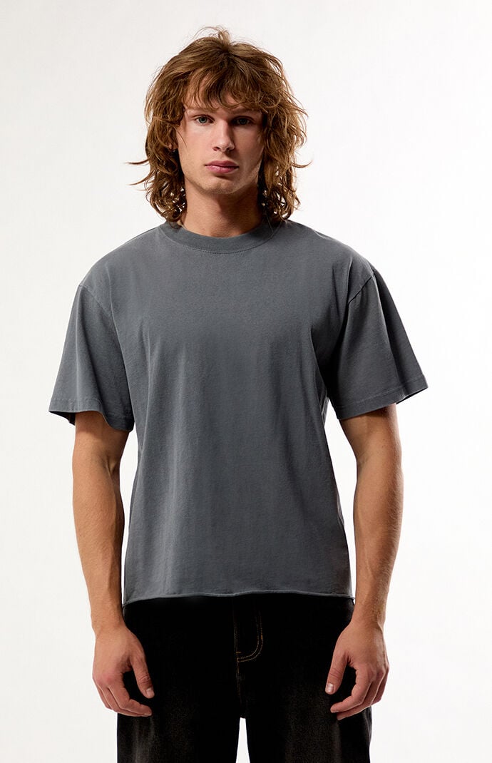 Pacsun Vintage Blue Premium Cropped T-Shirt