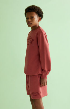 Embroidered Sweat Shorts image number 3