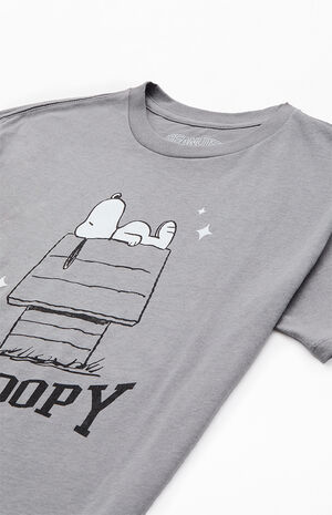 Kids Snoopy Dog House T-Shirt image number 2