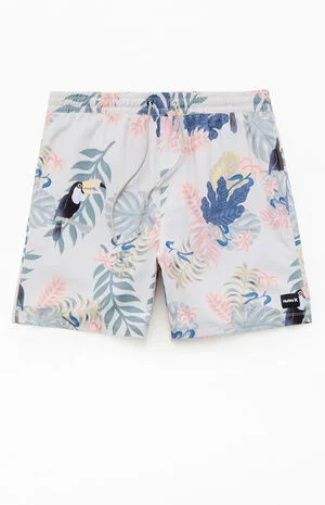 Cannonball Lined Volley 6" Swim Trunks image number 1
