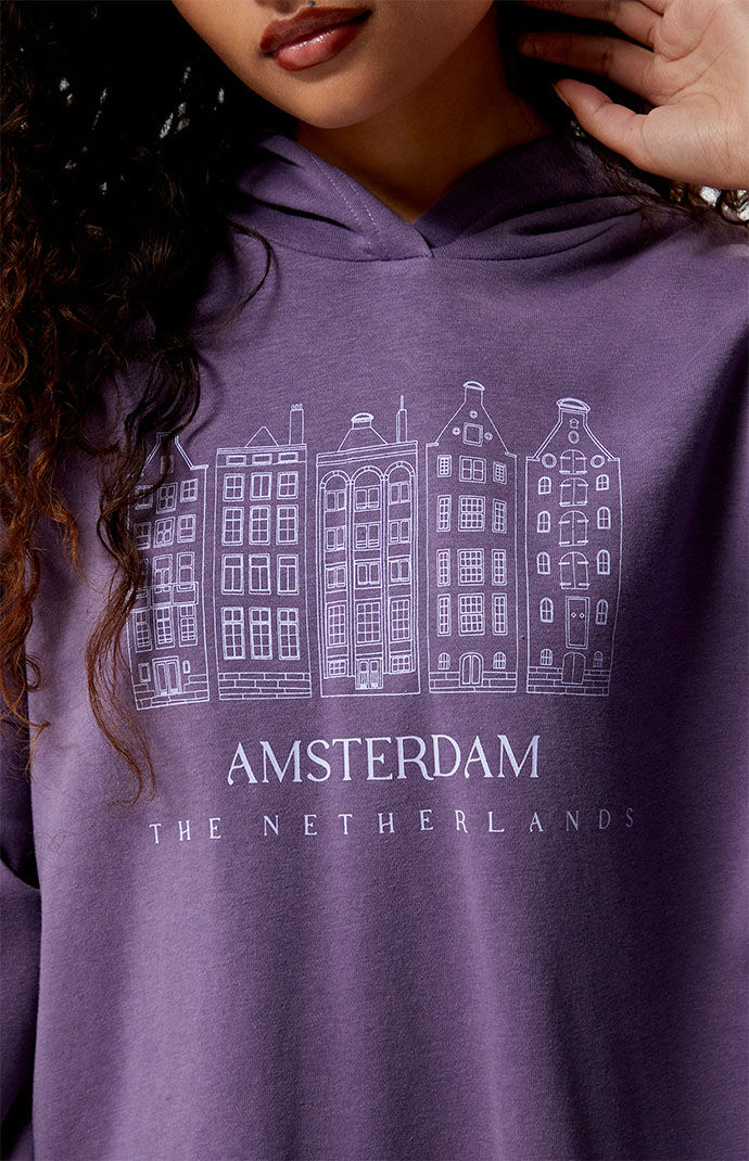 Pacsun store lavender hoodie