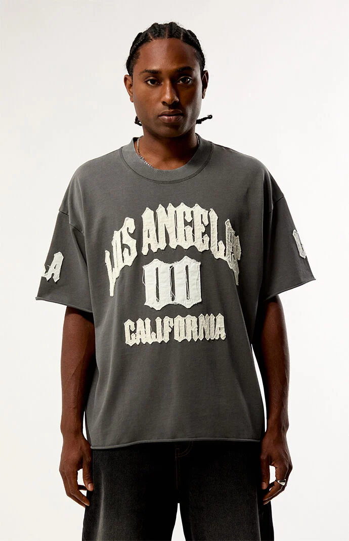 Pacsun LA Applique Knit T-Shirt