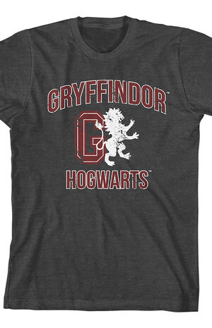 Kids Harry Potter Gryffindor T-Shirt image number 2