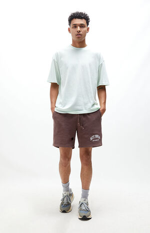 Brown Pacific Sunwear Collegiate Sweat Shorts image number 6