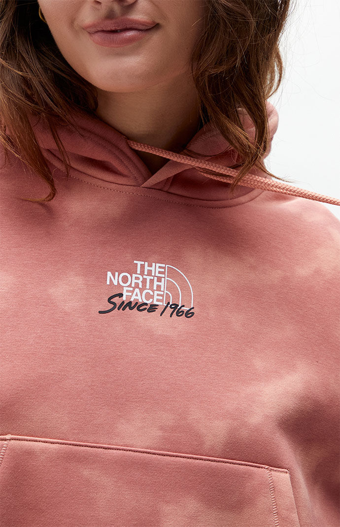 Pacsun north face discount hoodie