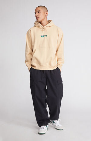 råolie Udlevering Violin Obey Lowercase Hoodie | PacSun