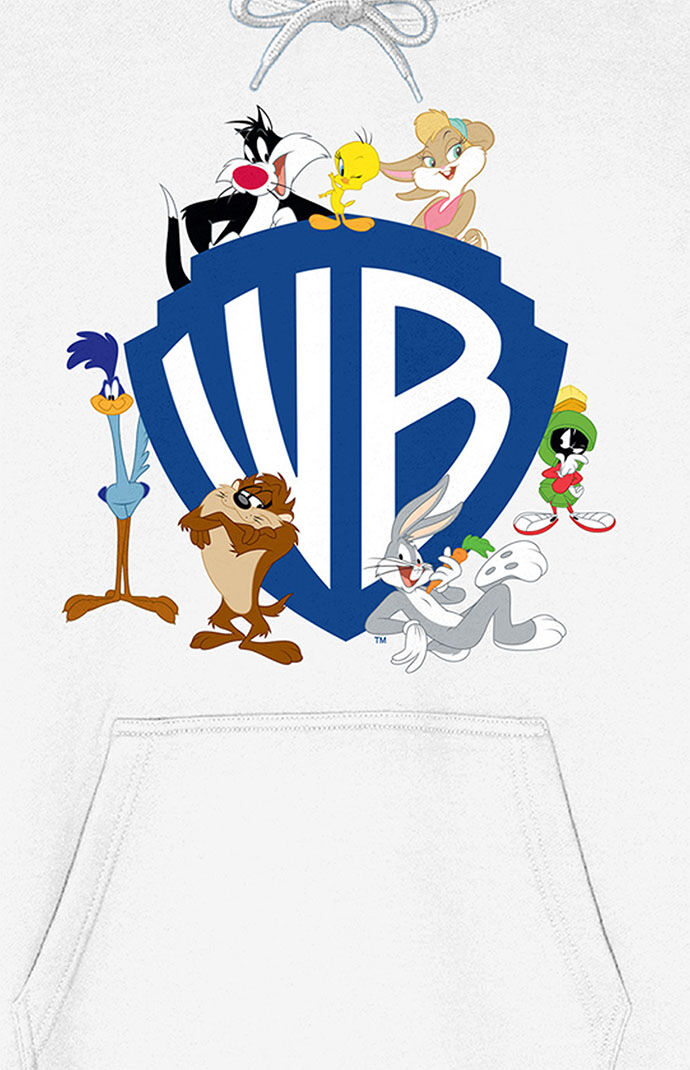 Bioworld Warner Bros Looney Tunes Hoodie PacSun