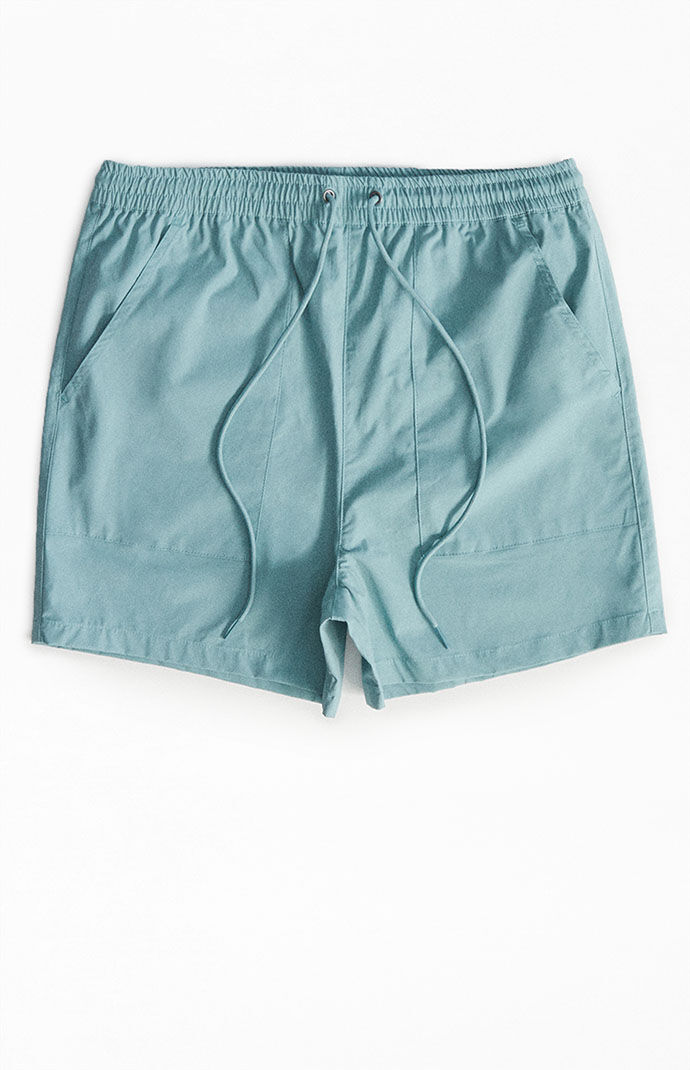 PacSun Blue Nylon Shorts PacSun