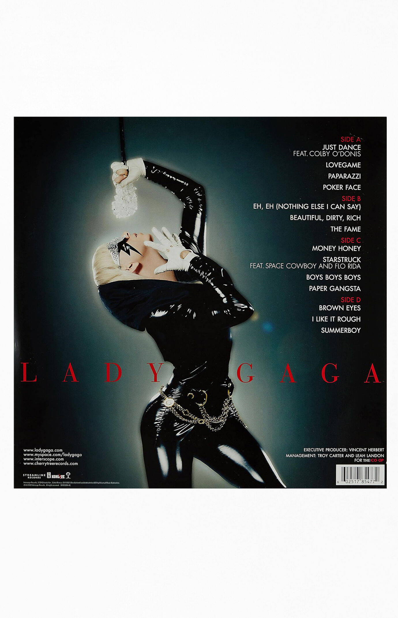 Lady Gaga The Fame Vinyl Record | Pacsun