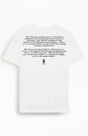 x NBA Chicago Bulls Logo T-Shirt image number 2