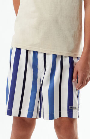 Roosevelt Striped 4.5" Swim Trunks image number 1