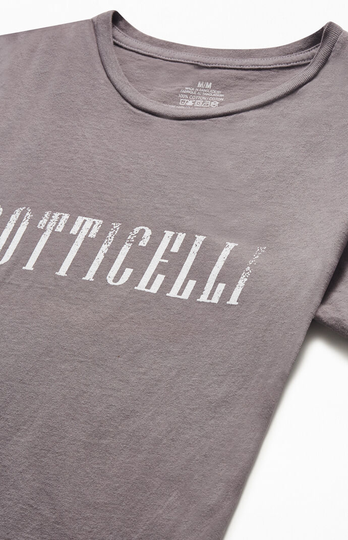 Sandro Botticelli T-Shirt