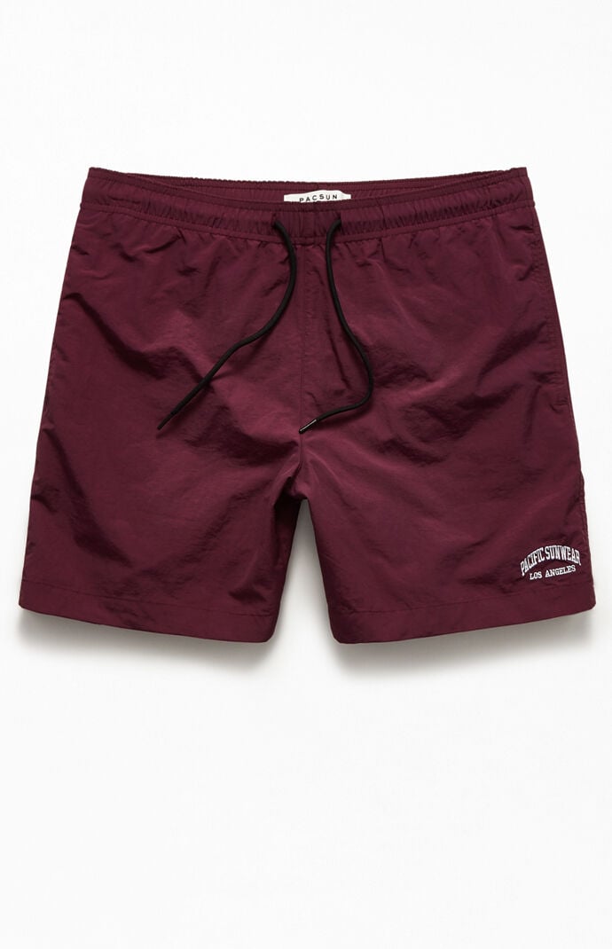 Embroidered Logo Solid 17" Swim Trunks