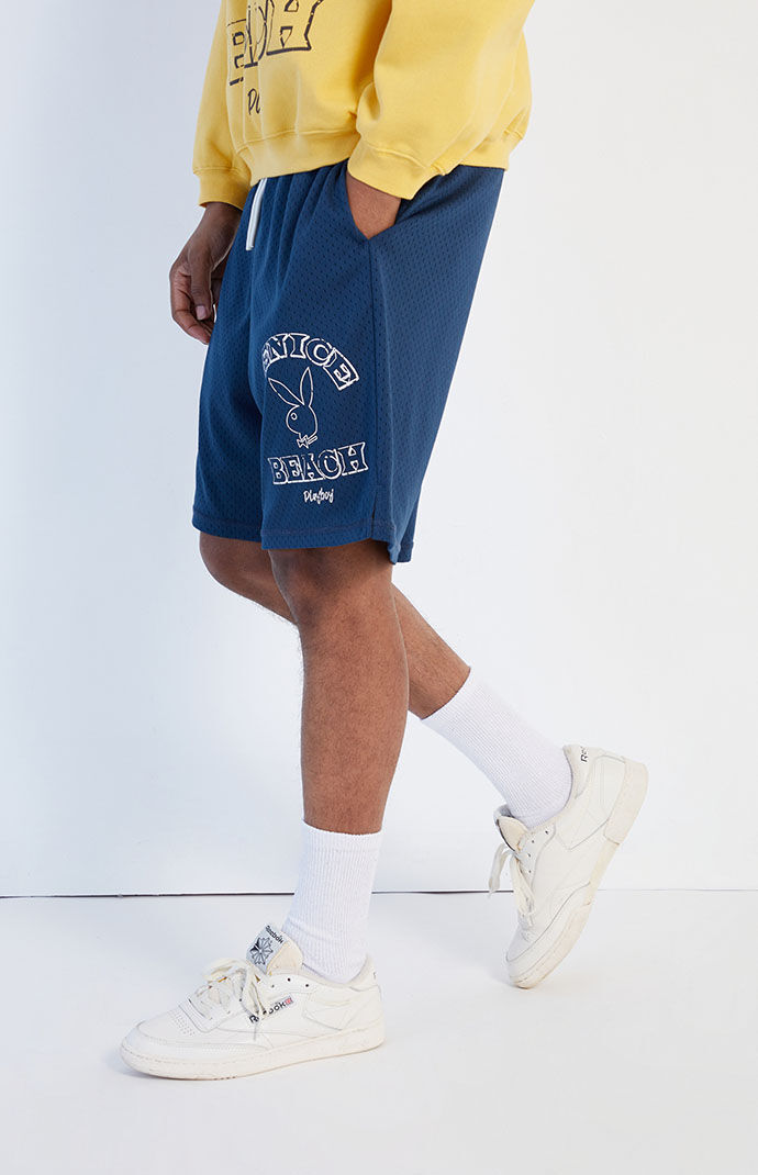 Pacsun best sale basketball shorts