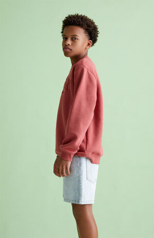 Light Indigo Denim Shorts image number 3