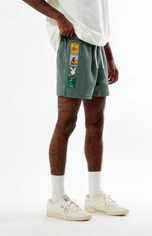 By Pacsun Ad 5" Swim Trunks image number 3