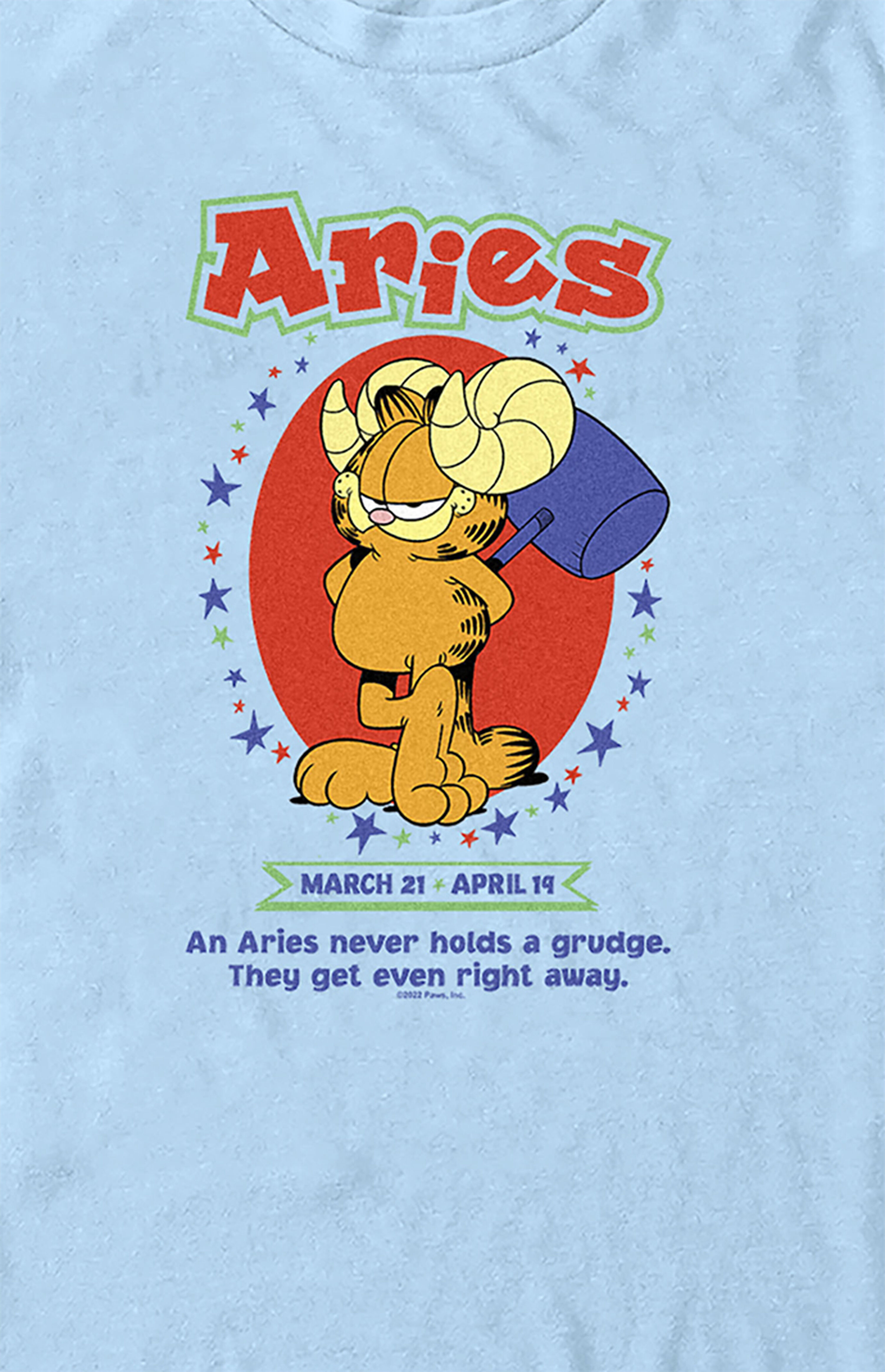 Aries Garfield TShirt PacSun