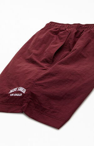 Wine Nylon Collegiate 6.5" Swim Trunks image number 4