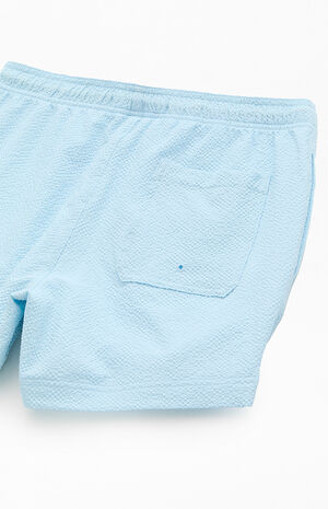 Surf Club Seersucker 4.5" Swim Trunks image number 4