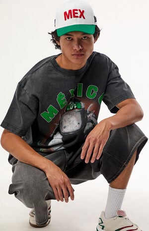 World Cup Team Mexico Dog T-Shirt image number 4