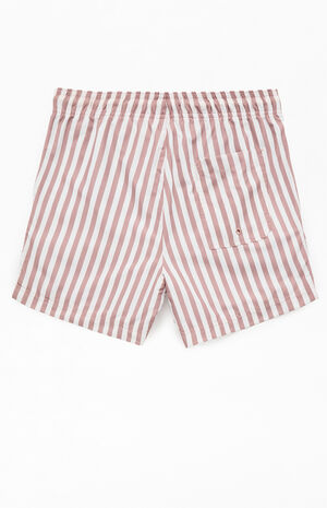 Caribou Striped 4.5" Swim Trunks image number 2