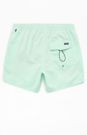 Everyday Solid 5" Swim Trunks image number 2