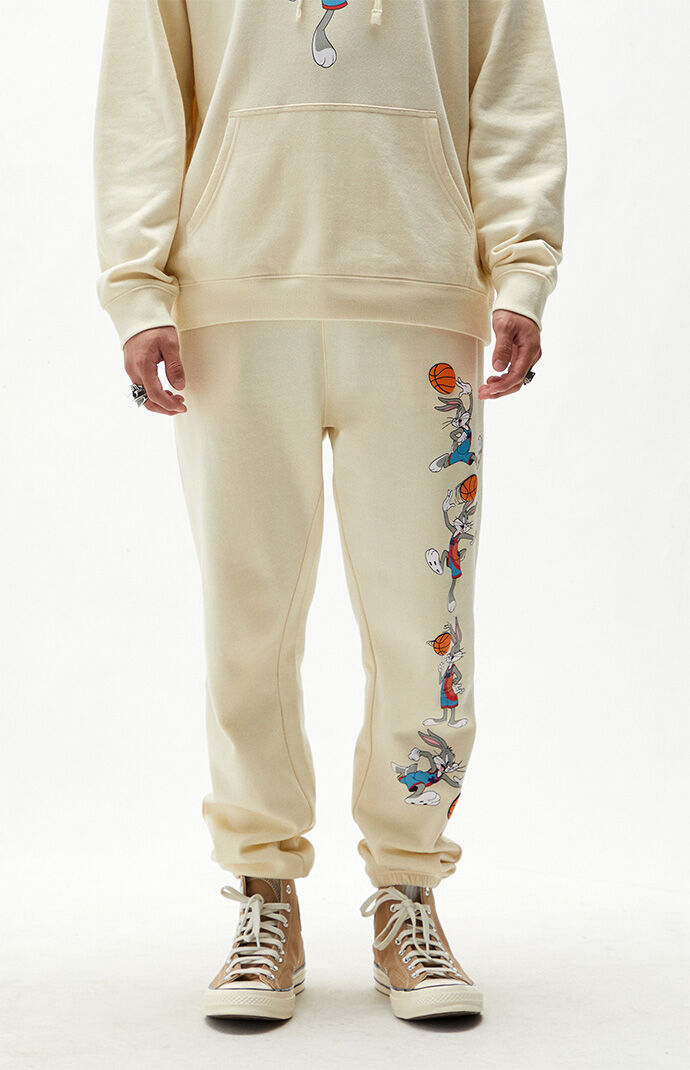 Tune squad hoodie pacsun discount