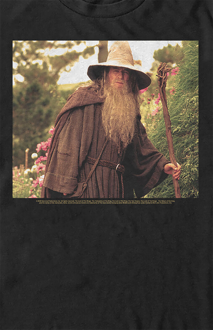 Lord Of The Rings Gandalf T-Shirt
