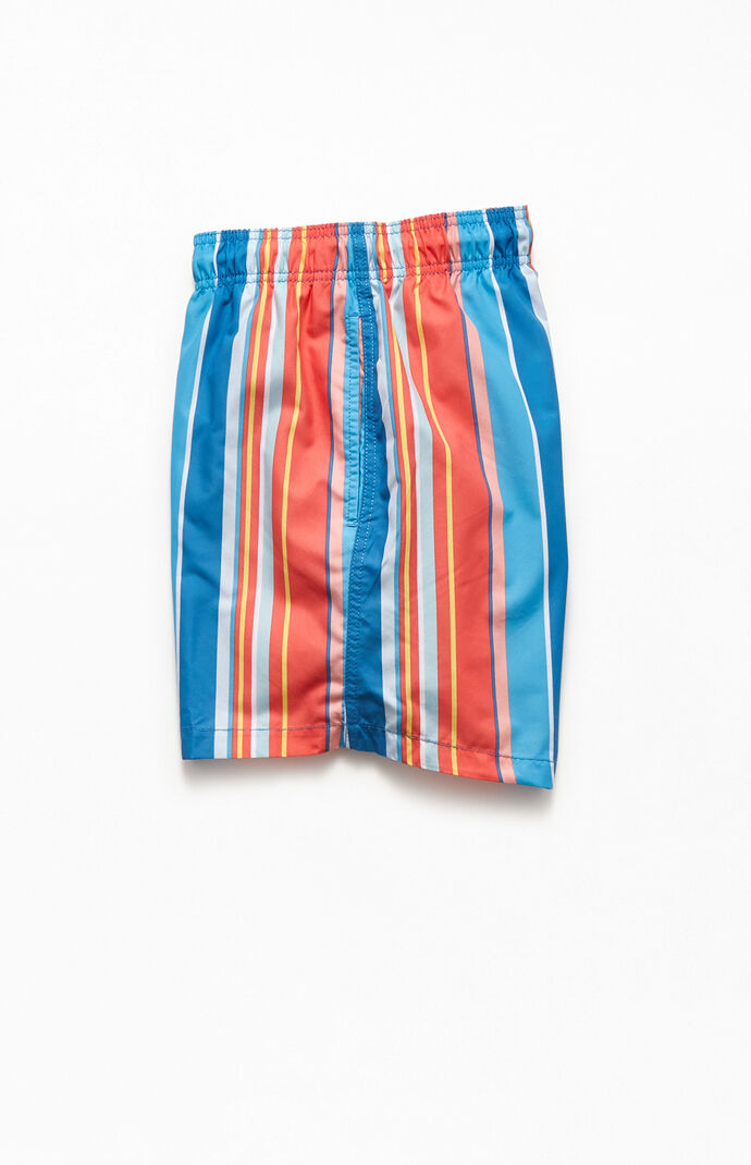 Multicolored Striped 17" Swim Trunks