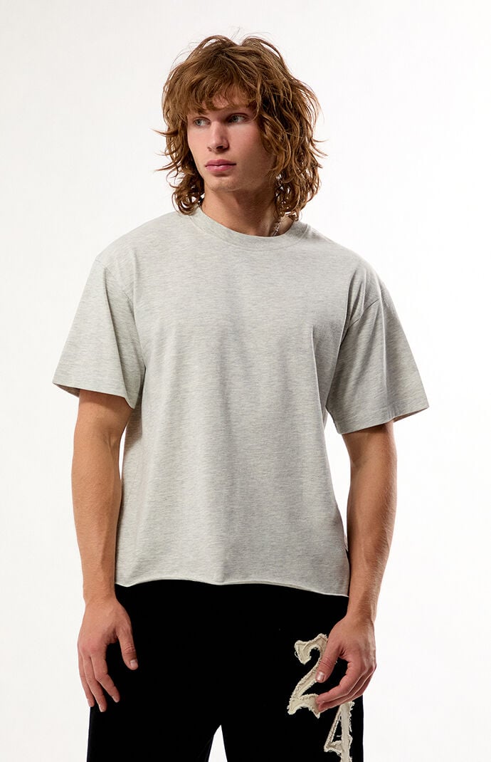 Pacsun Heather Grey Premium Cropped T-Shirt