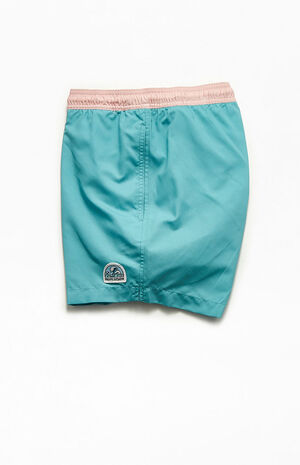 Colorblock 15" Swim Trunks image number 3