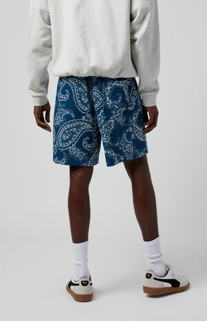 Blue Aaron Paisley Mesh Volley Shorts image number 5