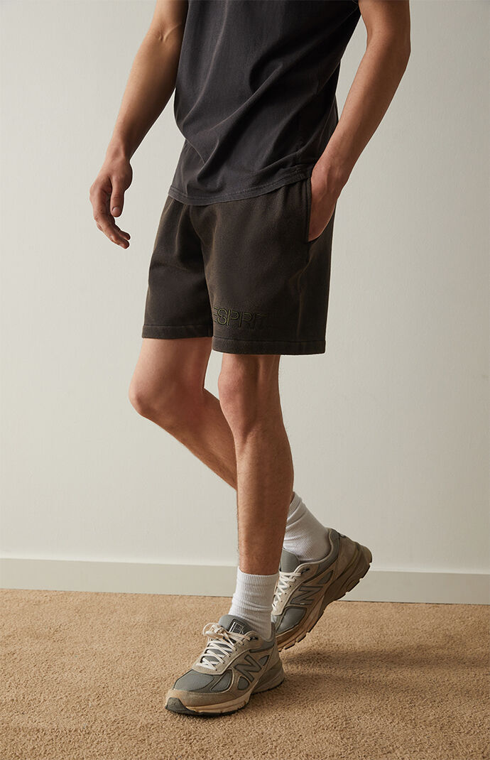 Eco Core Pigment Sweat Shorts