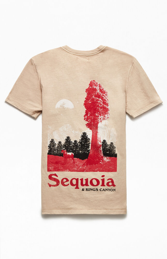 Pacsun vintage tees