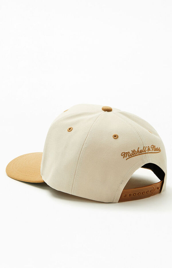ness 110 snapback