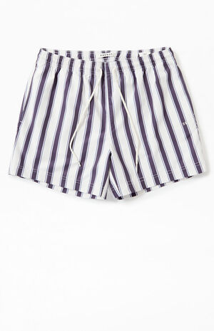 Charcoal Stripe 4.5 Swim Trunks image number 1