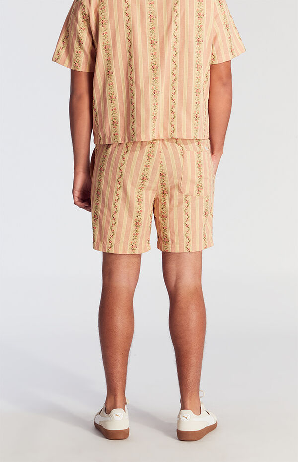 Pacsun Coral Striped Floral Volley Shorts